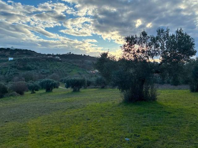 Terreno in vendita a Giardino, Montesilvano