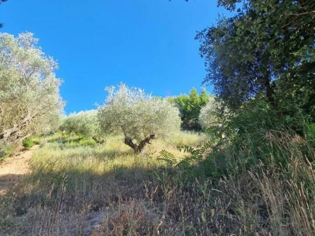 Terreno in vendita a Montesilvano, Abruzzo