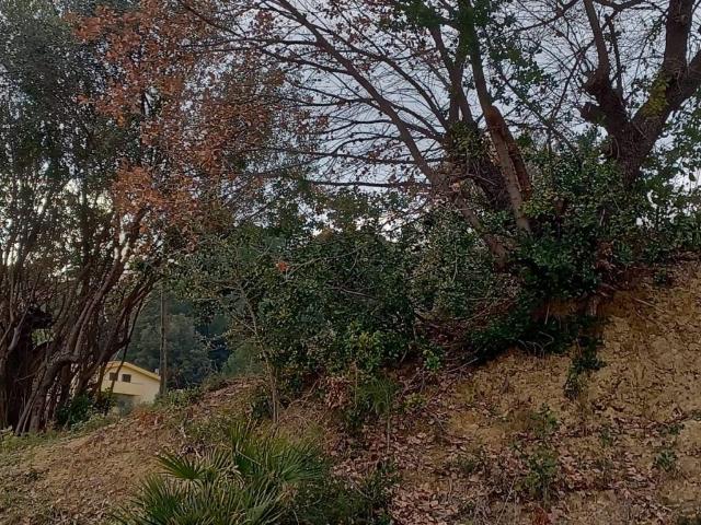 Terreno in vendita a Montesilvano, Abruzzo