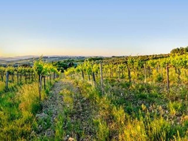 Terreno in vendita a Unione dei Comuni Circondario dell'Empolese Valdelsa, Montespertoli