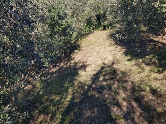 Terreno in vendita a Unione dei Comuni Circondario dell'Empolese Valdelsa, Montespertoli