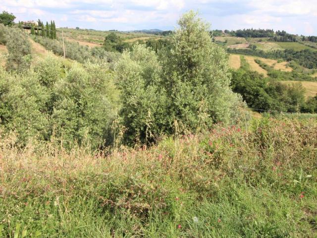 Terreno in vendita a Unione dei Comuni Circondario dell'Empolese Valdelsa, Montespertoli