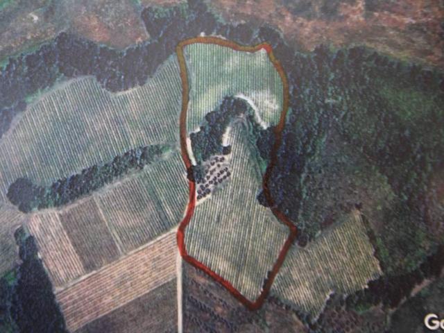 Terreno in vendita a Unione dei Comuni Circondario dell'Empolese Valdelsa, Montespertoli