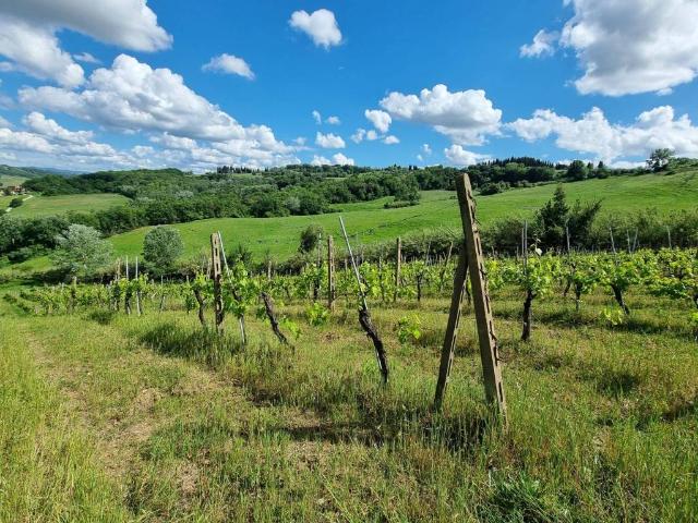 Terreno in vendita a Unione dei Comuni Circondario dell'Empolese Valdelsa, Montespertoli