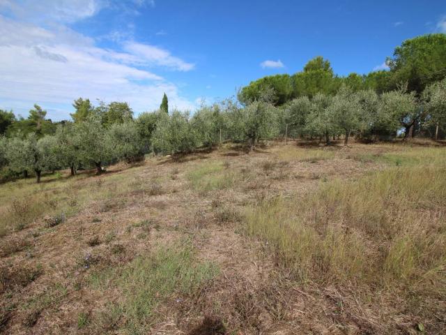 Terreno in vendita a Unione dei Comuni Circondario dell'Empolese Valdelsa, Montespertoli