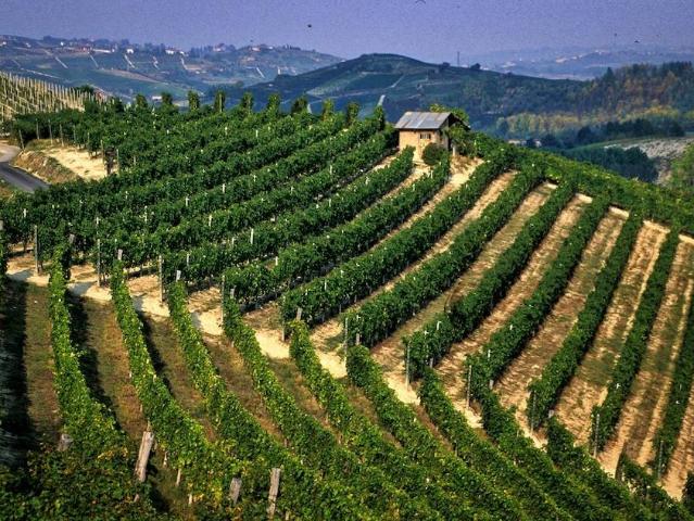 Terreno in vendita a Piemonte, Cuneo