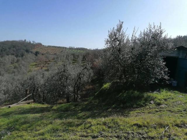 Terreno in vendita a Montevarchi, Toscana