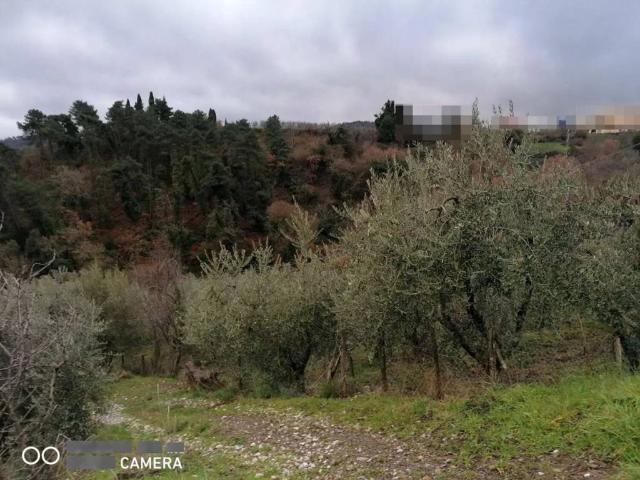 Terreno in vendita a Case Sabina, Montevarchi