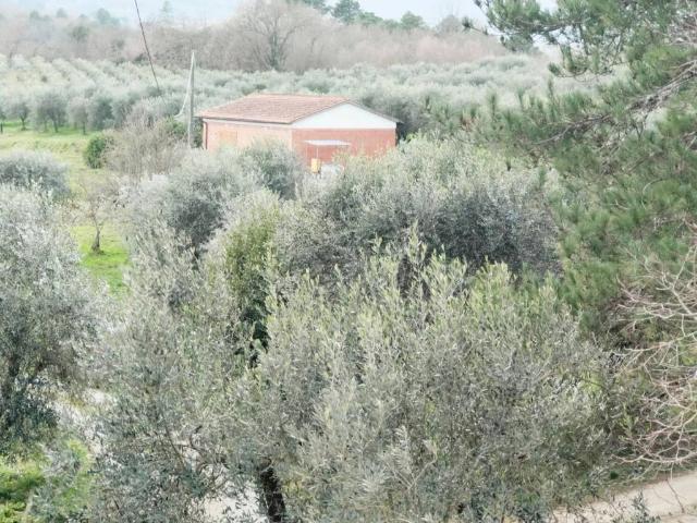 Terreno in vendita a Case Sabina, Montevarchi