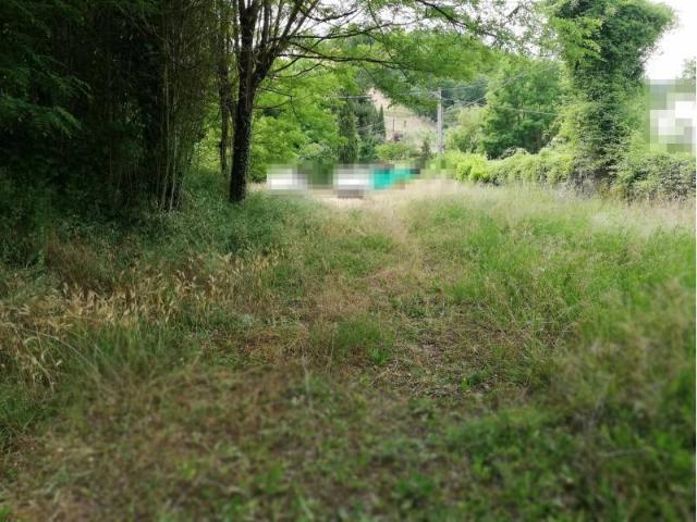 Terreno in vendita a Giglio, Montevarchi