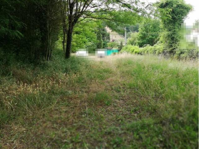 Terreno in vendita a Giglio, Montevarchi