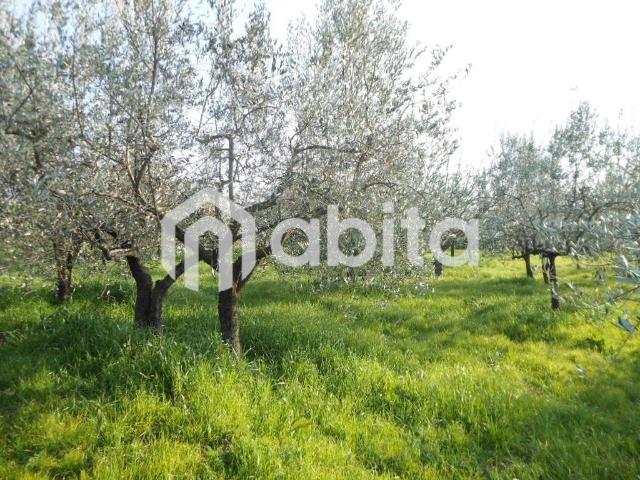 Terreno in vendita a Montevarchi, Toscana