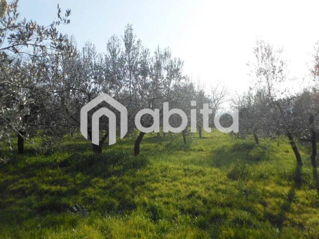 Terreno in vendita a Montevarchi, Toscana