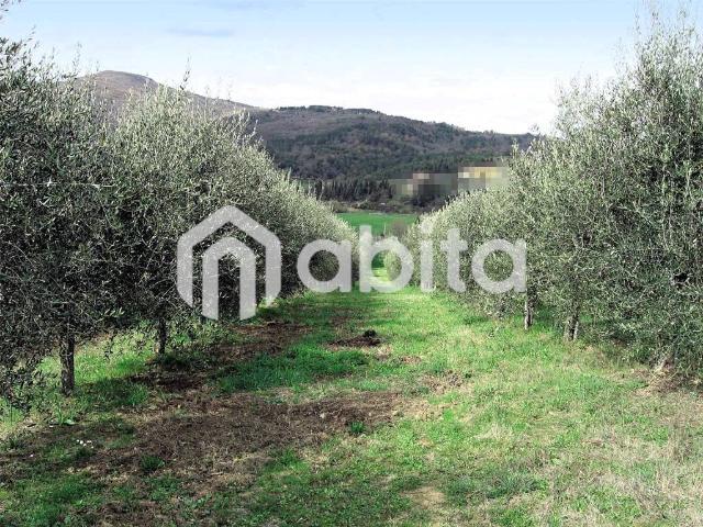 Terreno in vendita a Montevarchi, Toscana