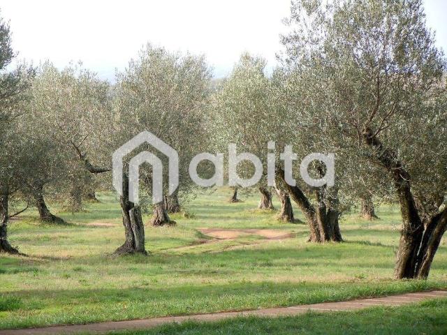 Terreno in vendita a Montevarchi, Toscana