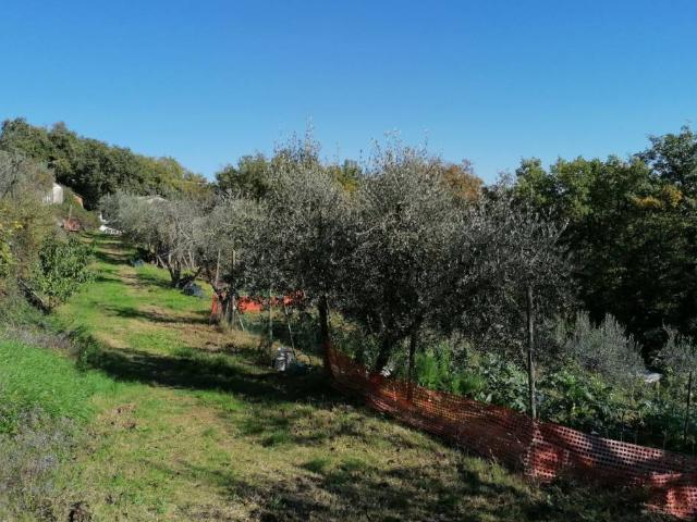 Terreno in vendita a Montevarchi, Toscana