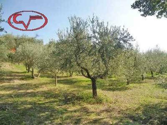 Terreno in vendita a Montevarchi, Toscana