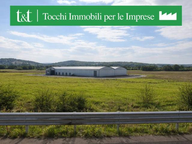 Terreno in vendita a Terranuova Bracciolini, Toscana
