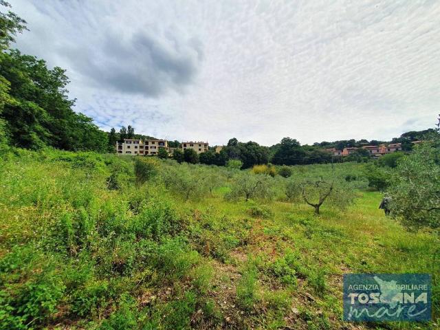 Terreno in vendita a Monteverdi Marittimo, Toscana