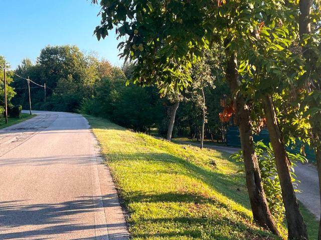 Terreno in vendita a Monteviale, Veneto