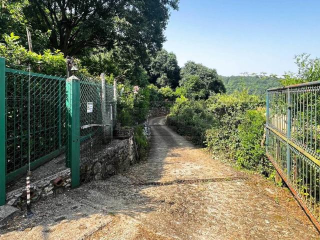 Terreno in vendita a Monteviale, Veneto