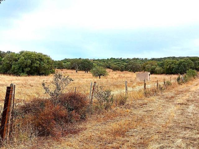 Terreno in vendita a Monte, Sardigna/Sardegna