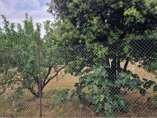 Terreno in vendita a Monte, Sardigna/Sardegna