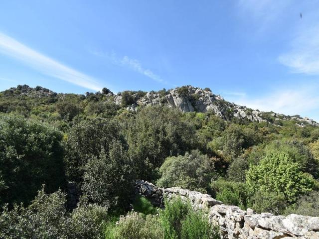 Terreno in vendita a Monte, Sardigna/Sardegna