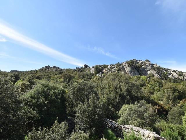 Terreno in vendita a Monte, Sardigna/Sardegna