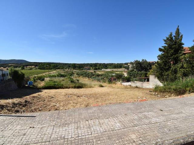 Terreno in vendita a Monte, Sardigna/Sardegna
