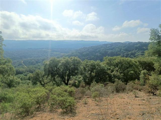 Terreno in vendita a Monte, Sardigna/Sardegna