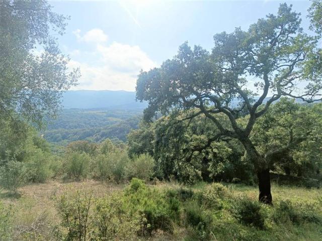 Terreno in vendita a Monte, Sardigna/Sardegna