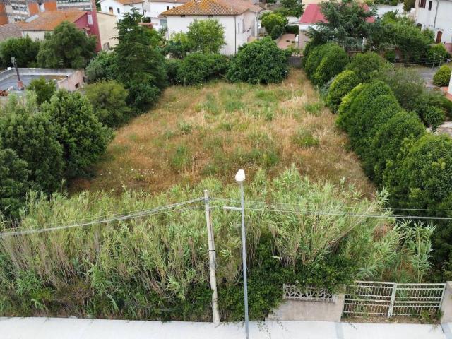Terreno in vendita a Monte, Sardigna/Sardegna