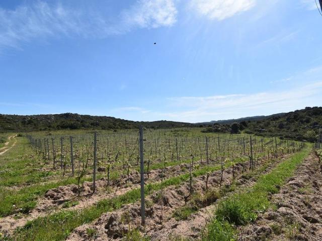 Terreno in vendita a Monte, Sardigna/Sardegna
