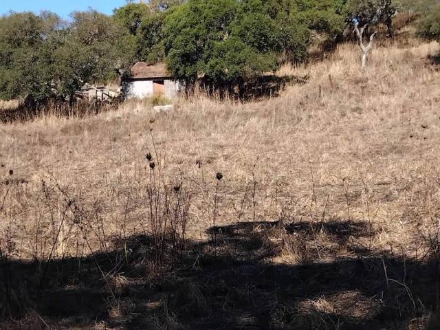 Terreno in vendita a Monte, Sardigna/Sardegna