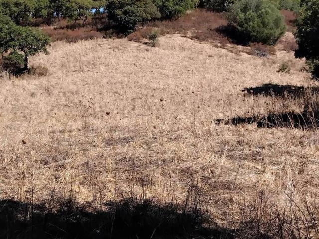 Terreno in vendita a Monte, Sardigna/Sardegna
