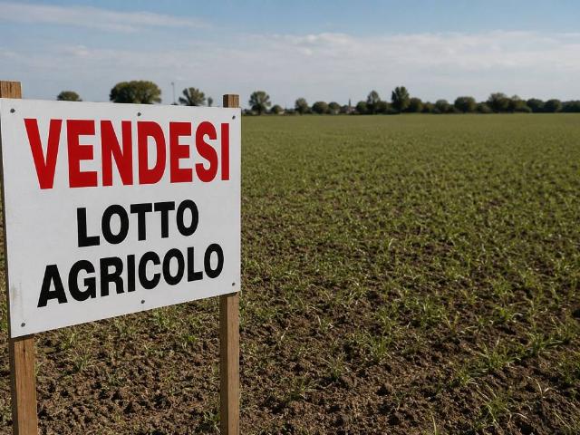 Terreno in vendita a Montichiari, Lombardia