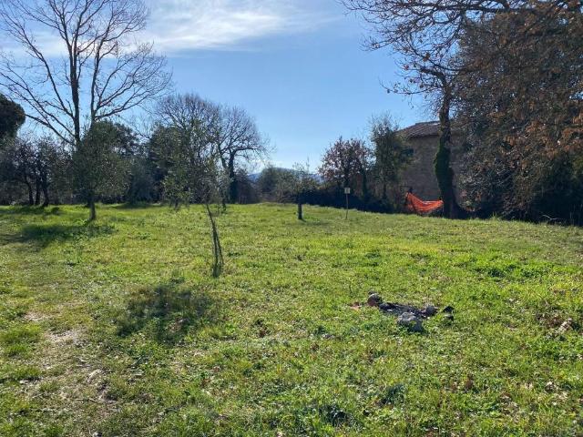 Terreno in vendita a Monticiano, Toscana