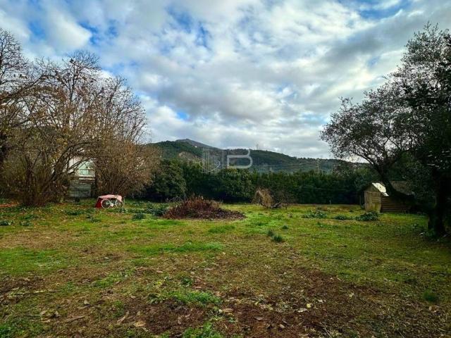 Terreno in vendita a Montignoso, Toscana