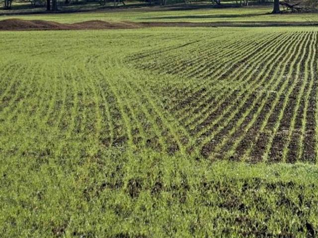 Terreno in vendita a Cervaiolo, Montignoso