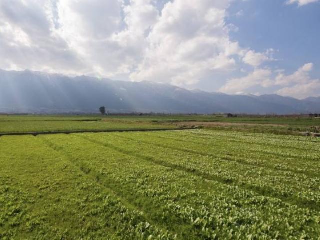 Terreno in vendita a Montirone, Lombardia