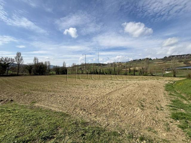 Terreno in vendita a Montone, Umbria