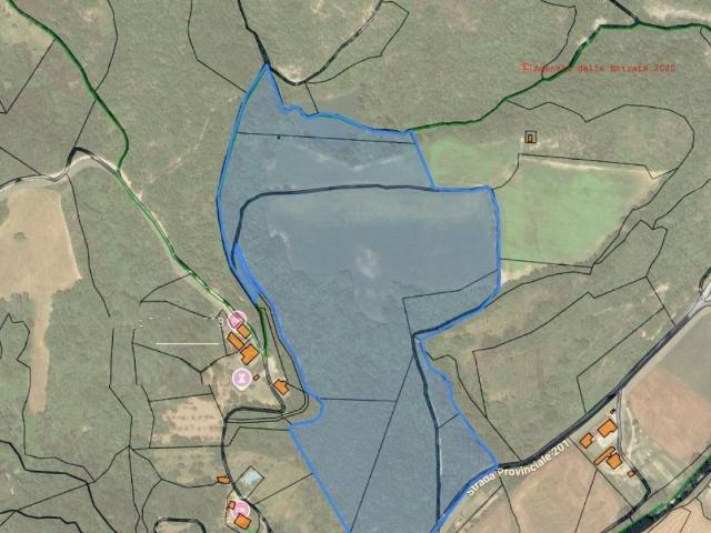 Terreno in vendita a Montone, Umbria