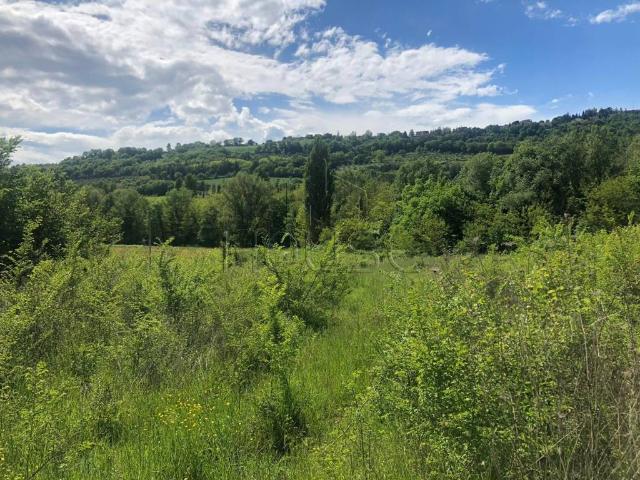 Terreno in vendita a Montone, Umbria