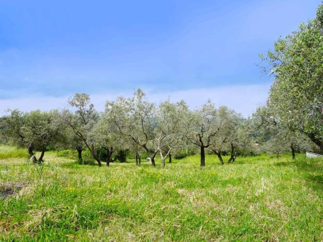 Terreno in vendita a Case Nuove, Montopoli Di Sabina