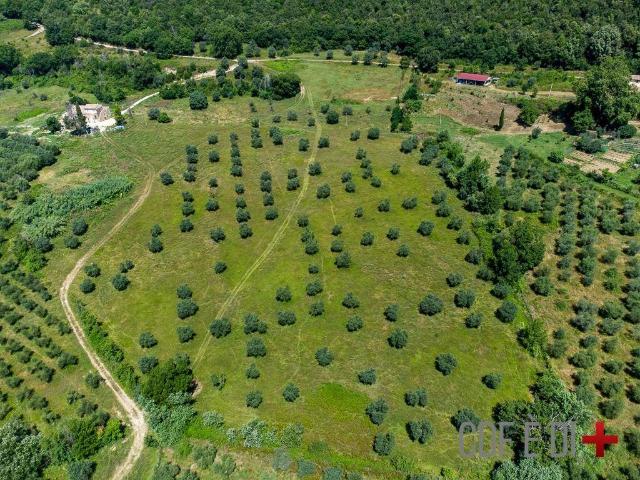 Terreno in vendita a Montopoli Di Sabina, Lazio