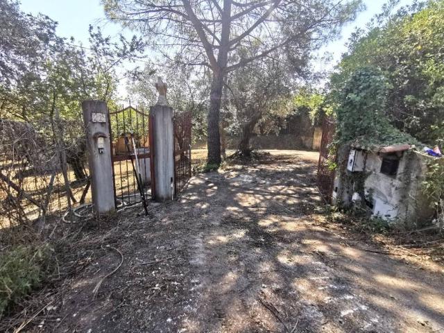 Terreno in vendita a Montopoli Di Sabina, Lazio