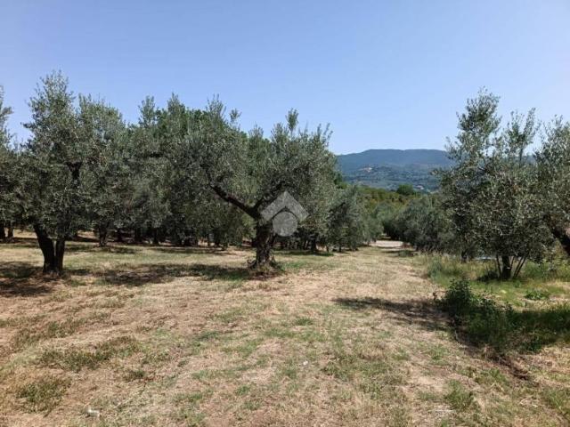 Terreno in vendita a Montopoli Di Sabina, Lazio