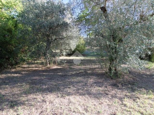 Terreno in vendita a Bocchignano, Montopoli di Sabina