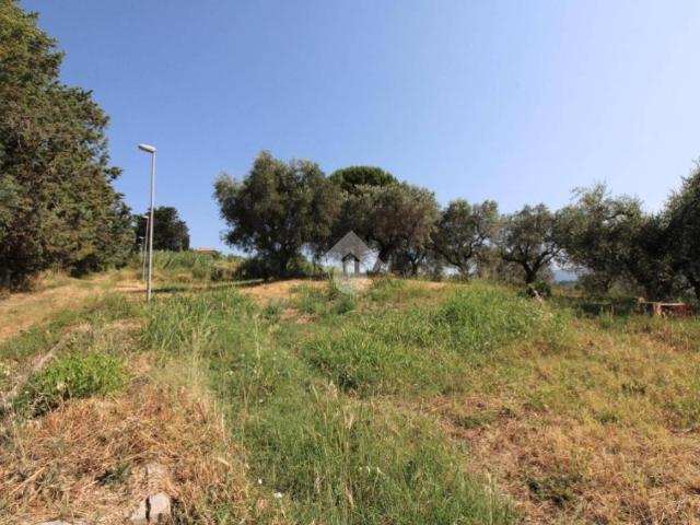 Terreno in vendita a Montopoli Di Sabina, Lazio